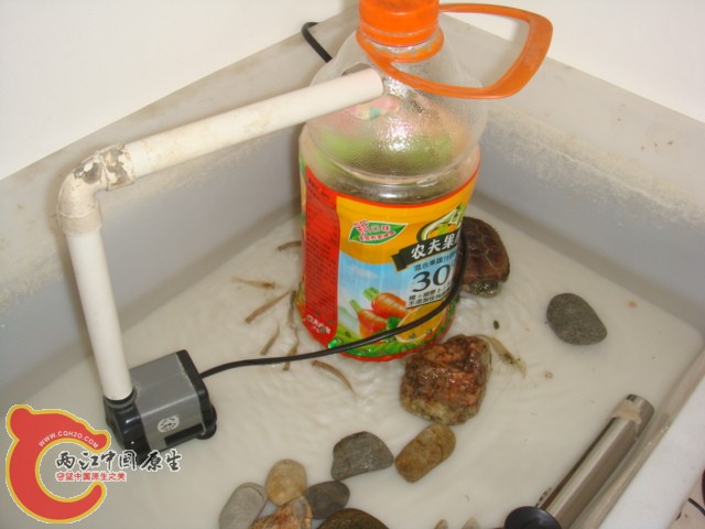 DSC01872.JPG
