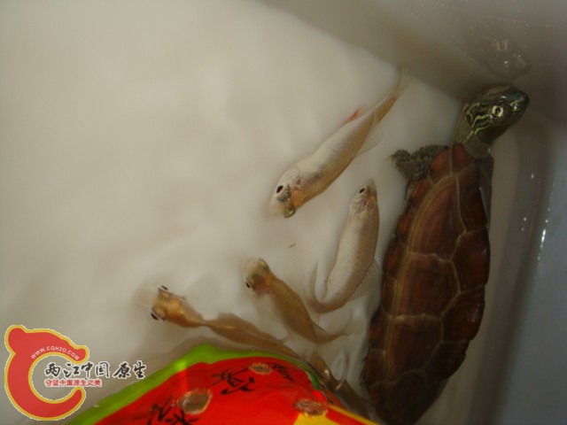 DSC01876.JPG
