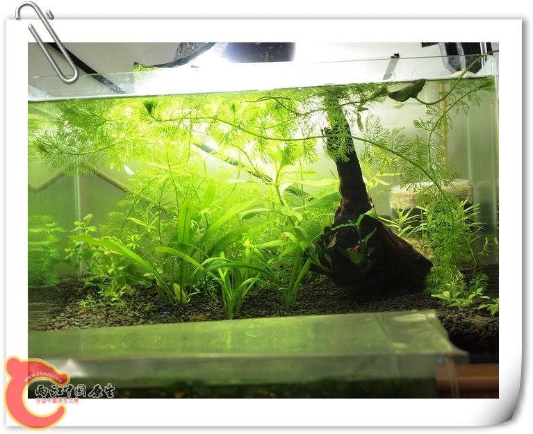 nEO_IMG_P9304591.jpg