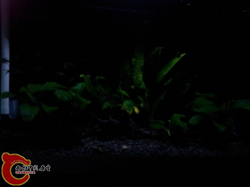 2011-10-06 18.35.47.jpg