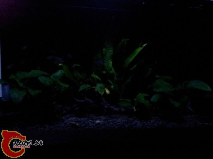 2011-10-06 18.36.00.jpg