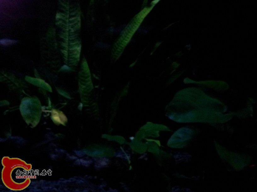 2011-10-06 18.36.34.jpg