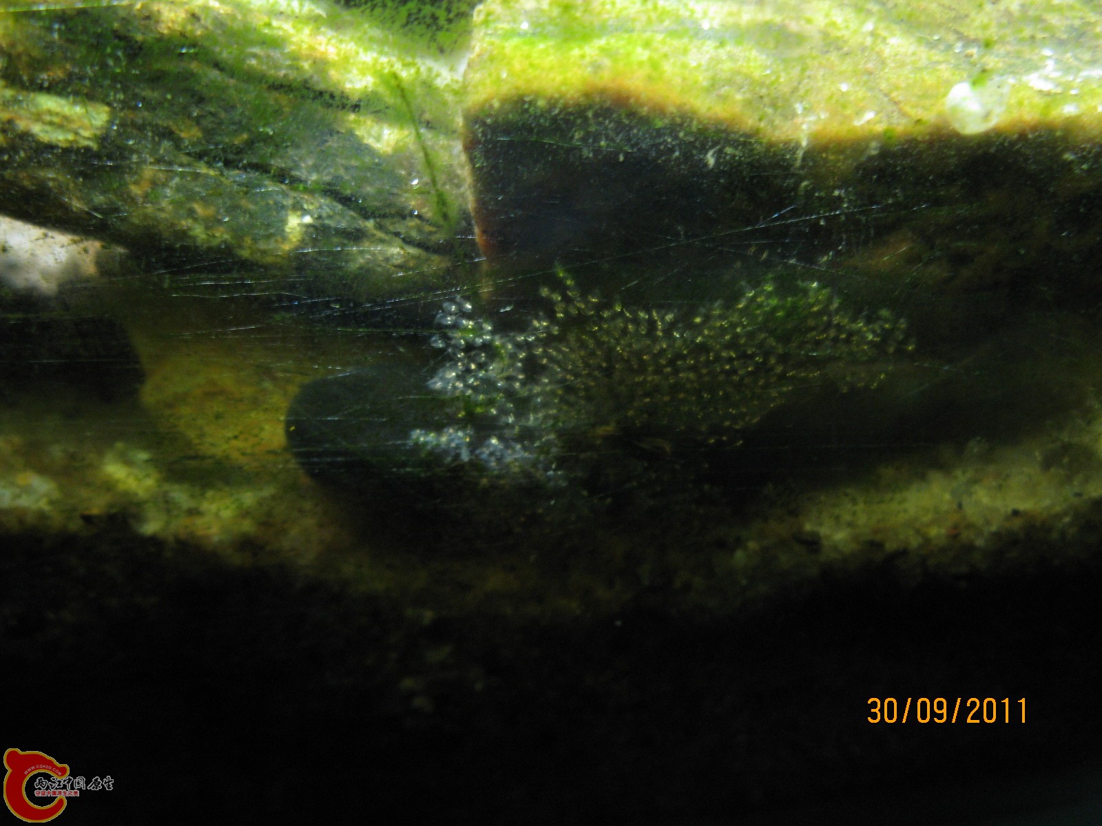 IMG_0727.jpg