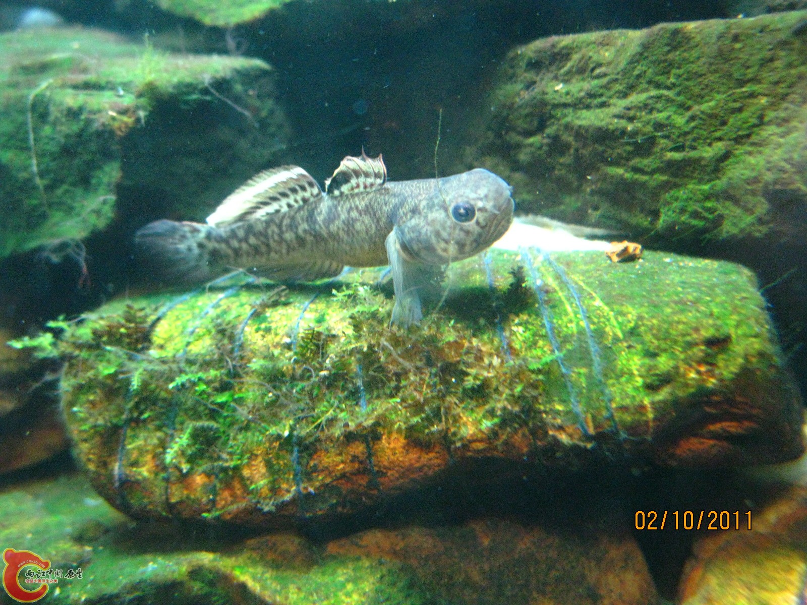 IMG_0761.jpg