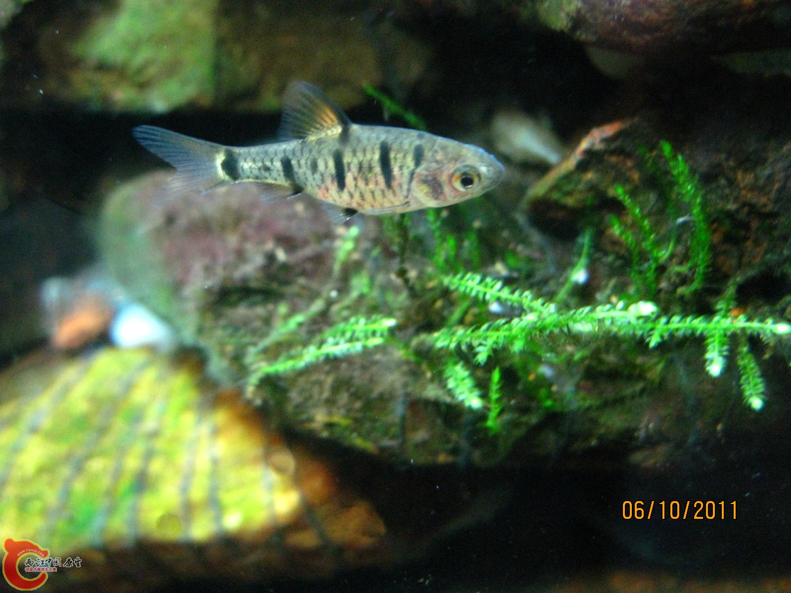 IMG_0780.jpg