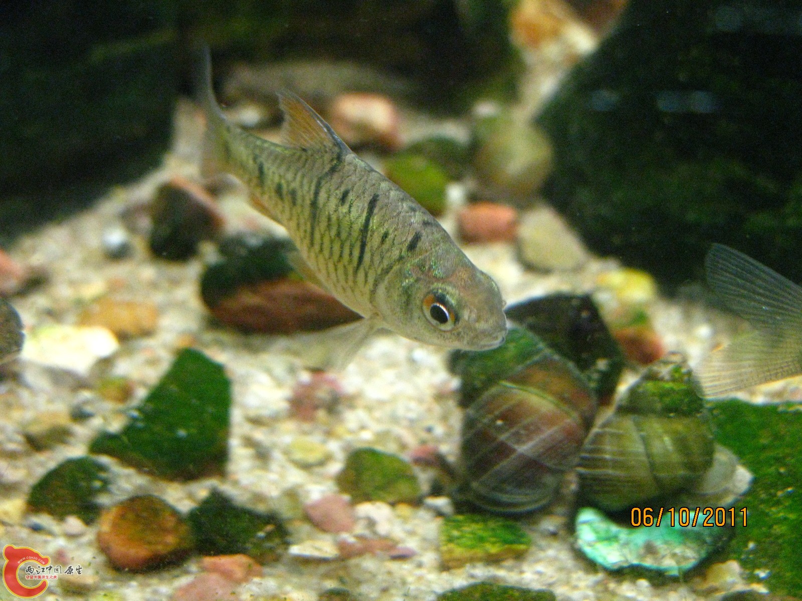 IMG_0828.jpg