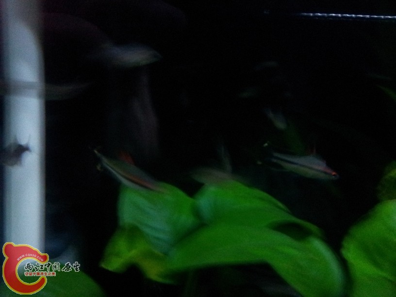 2011-10-07 20.01.20.jpg