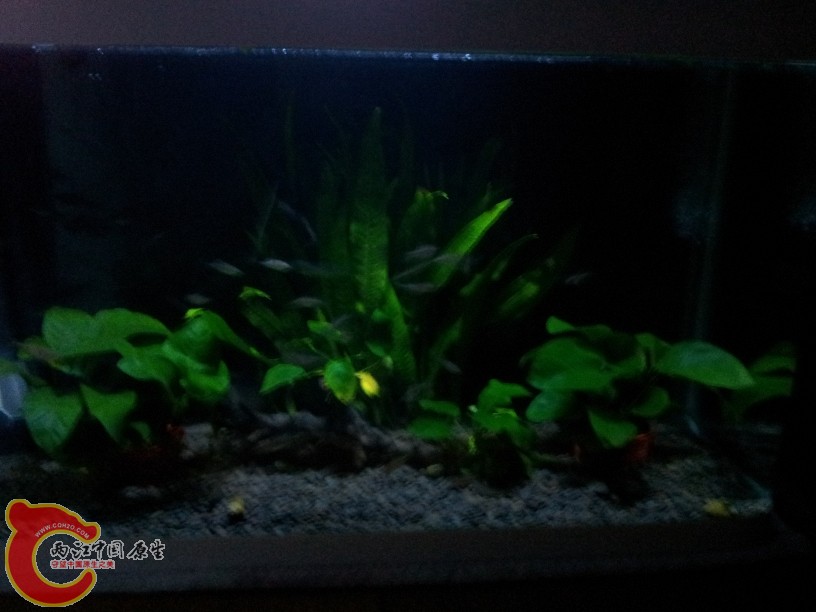 2011-10-07 20.04.11.jpg