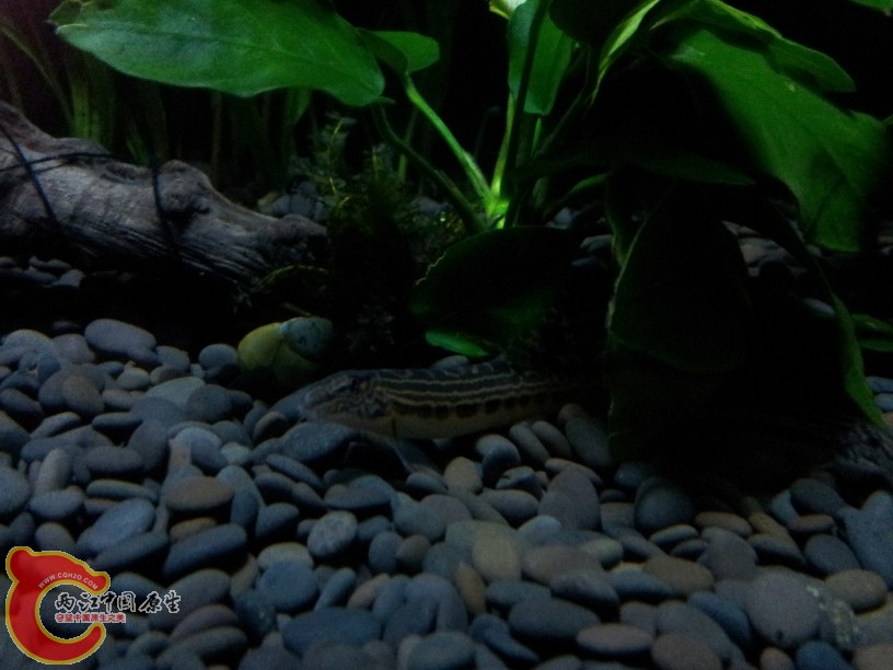 2011-10-07 20.00.48.jpg