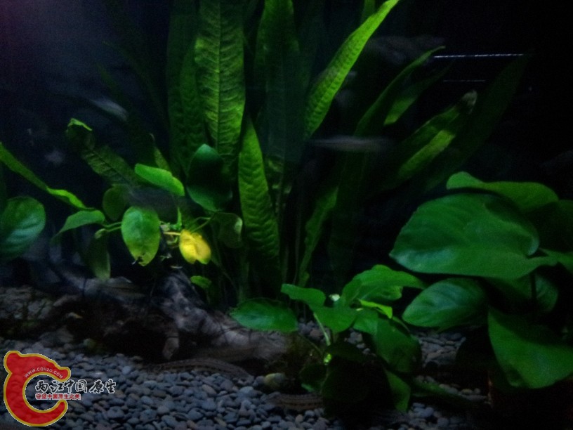 2011-10-07 20.02.39.jpg