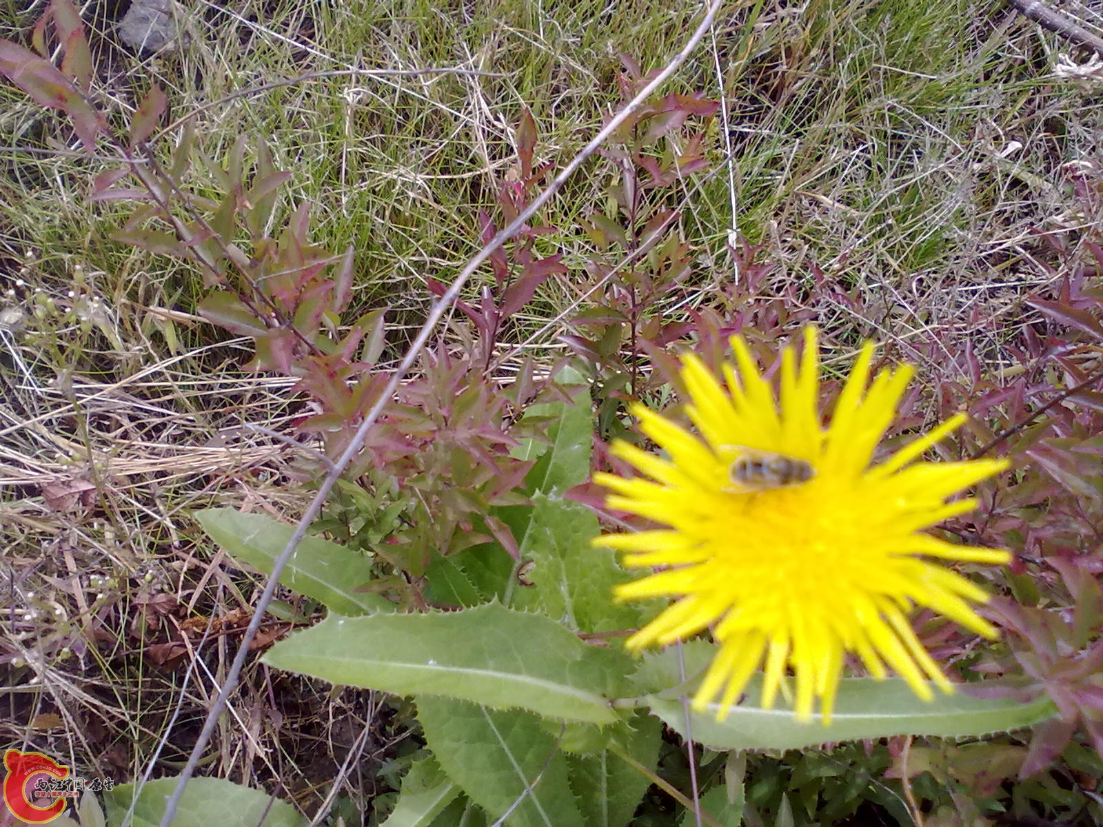 201110011044.jpg