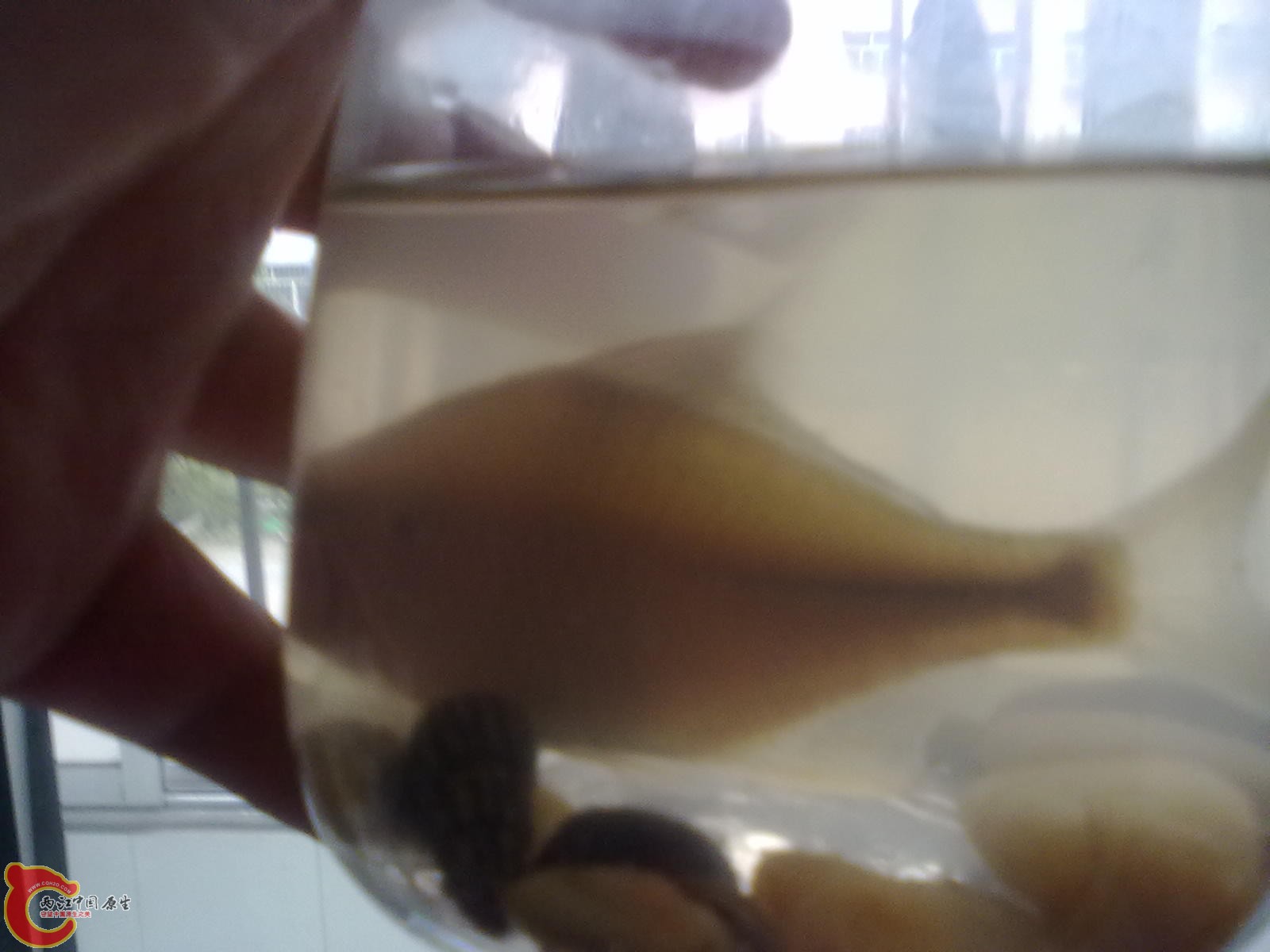 201110011048.jpg