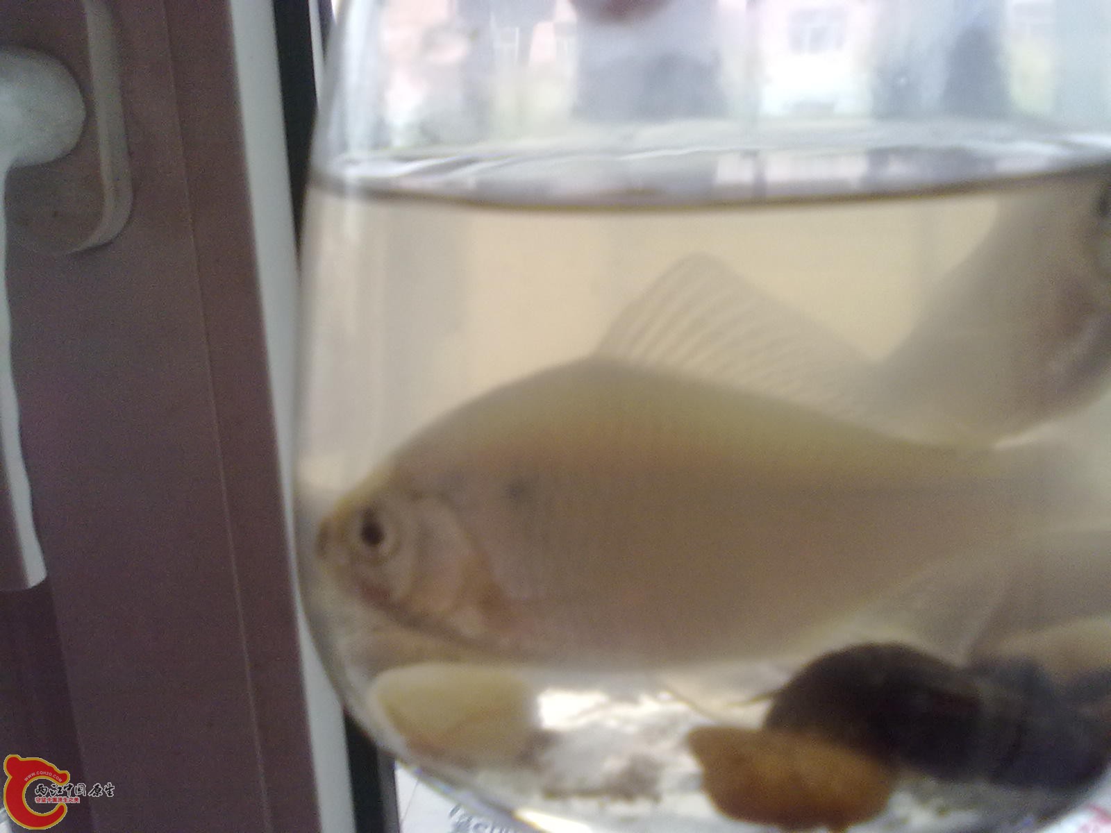 201110011049.jpg