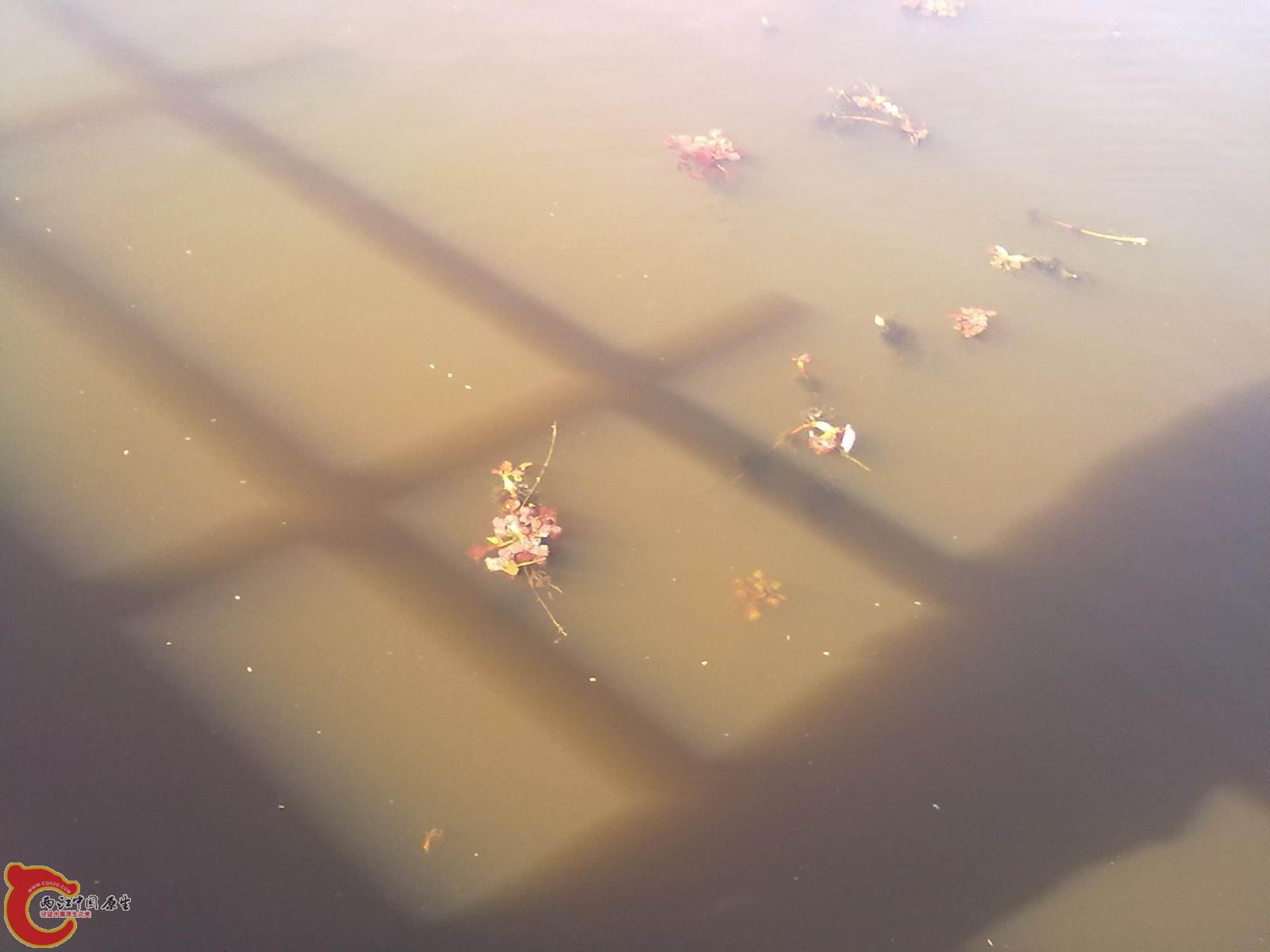 201110041115.jpg