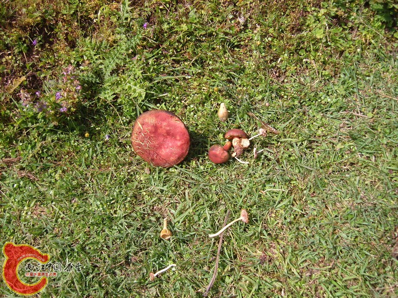 a3587.JPG