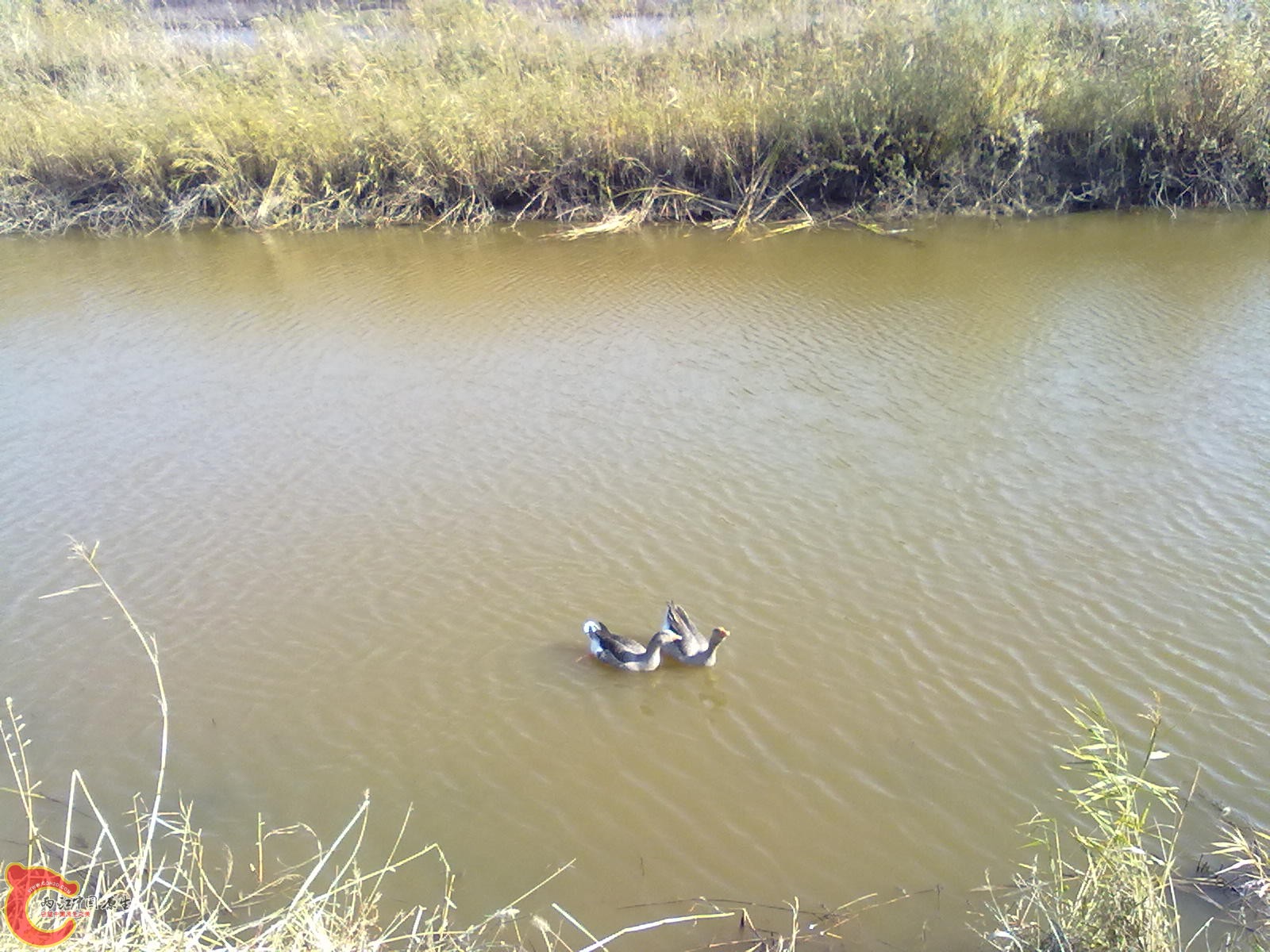 201110051132.jpg