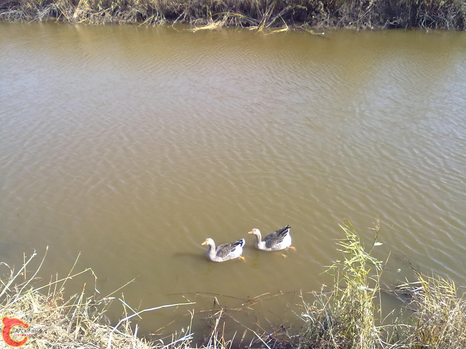 201110051135.jpg