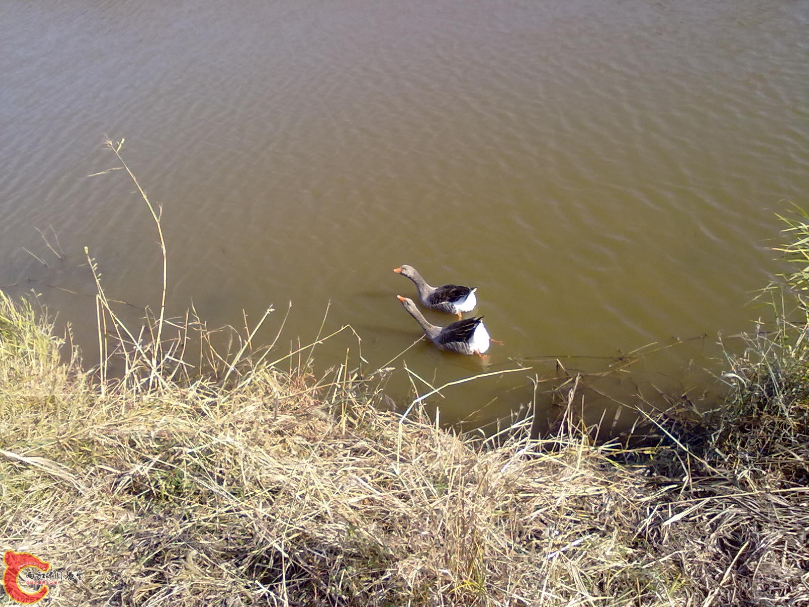201110051137.jpg