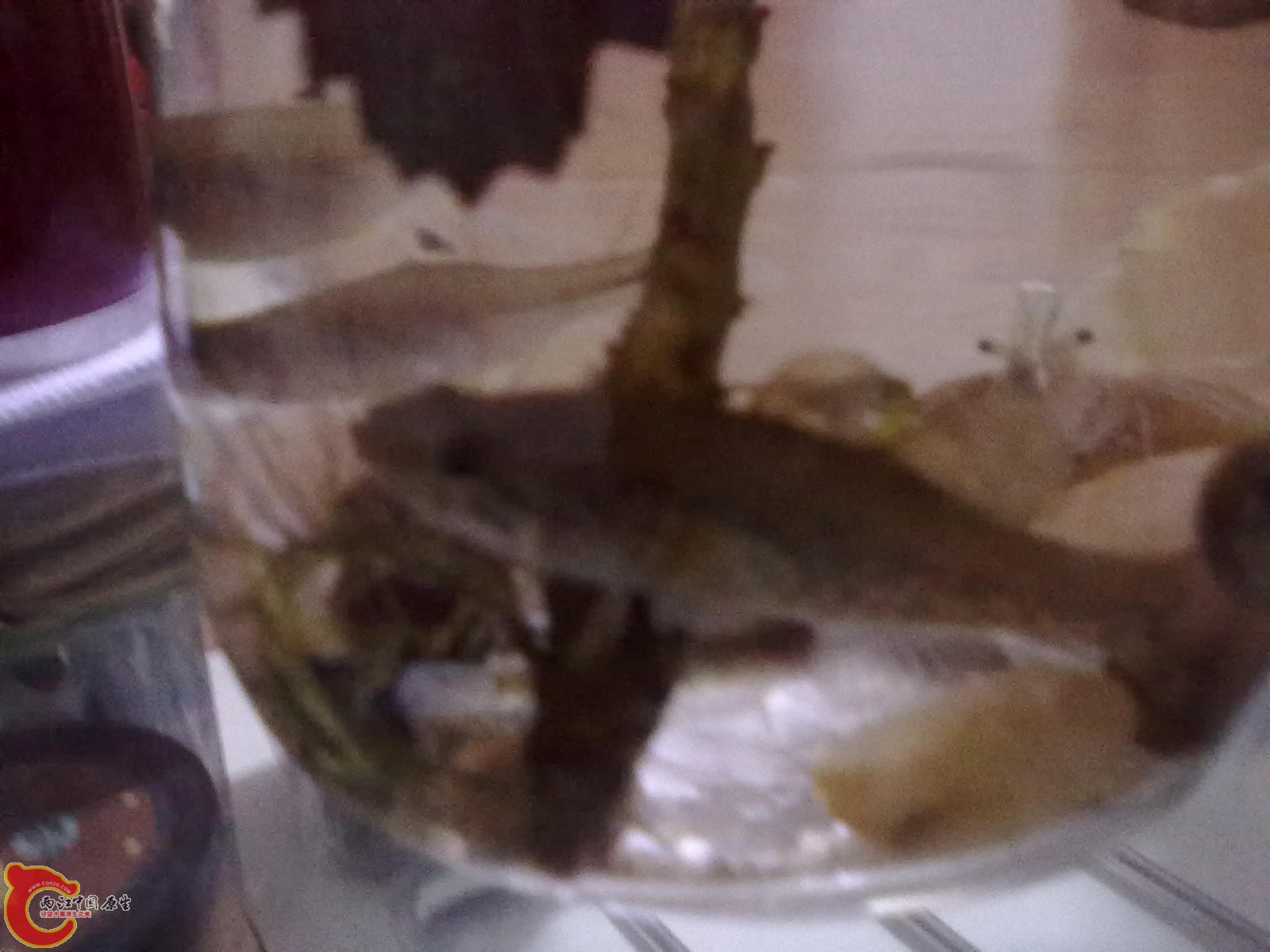 201110051141.jpg