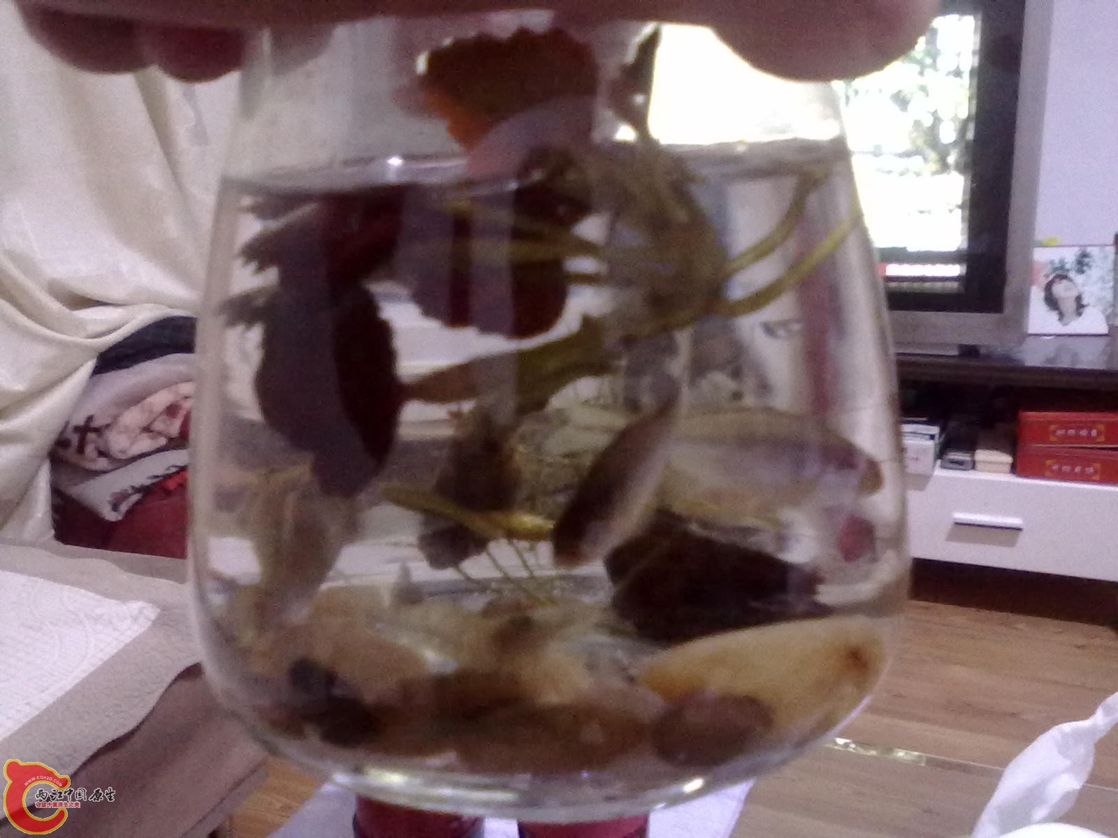 201110051145.jpg
