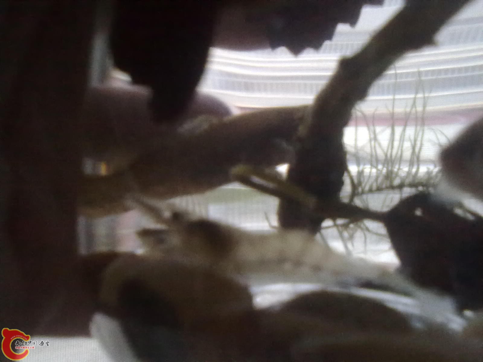201110051147.jpg