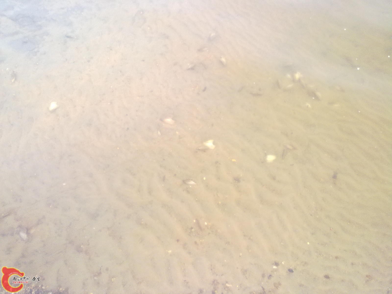 201110061152.jpg