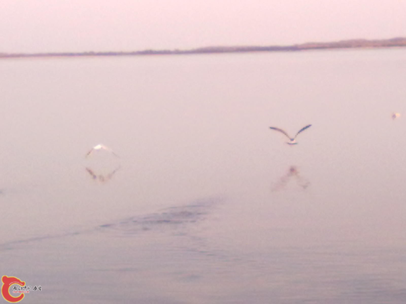 201110061162.jpg