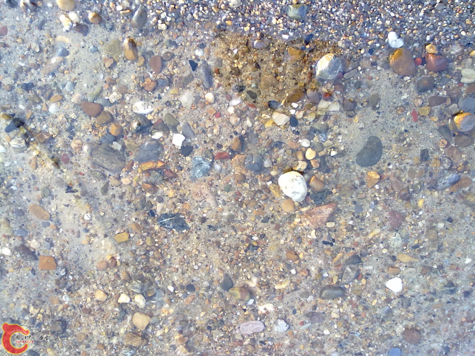 201110061163.jpg
