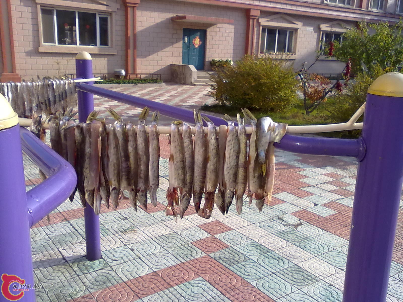 201110061167.jpg
