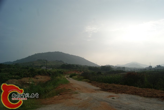 03.jpg