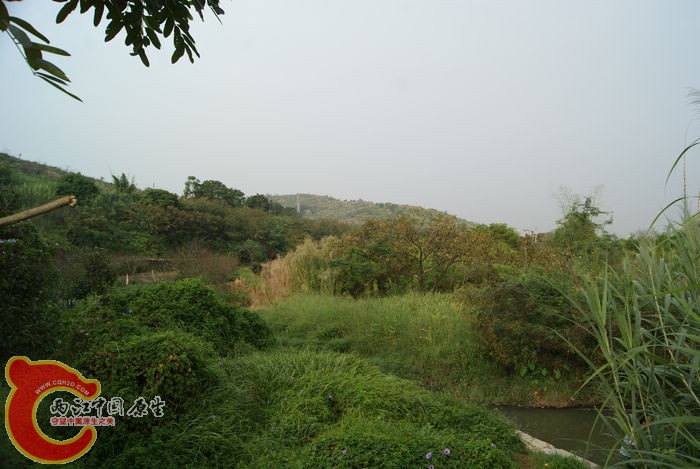 09.jpg