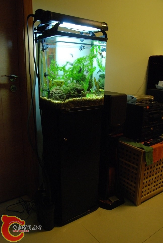 水族缸1