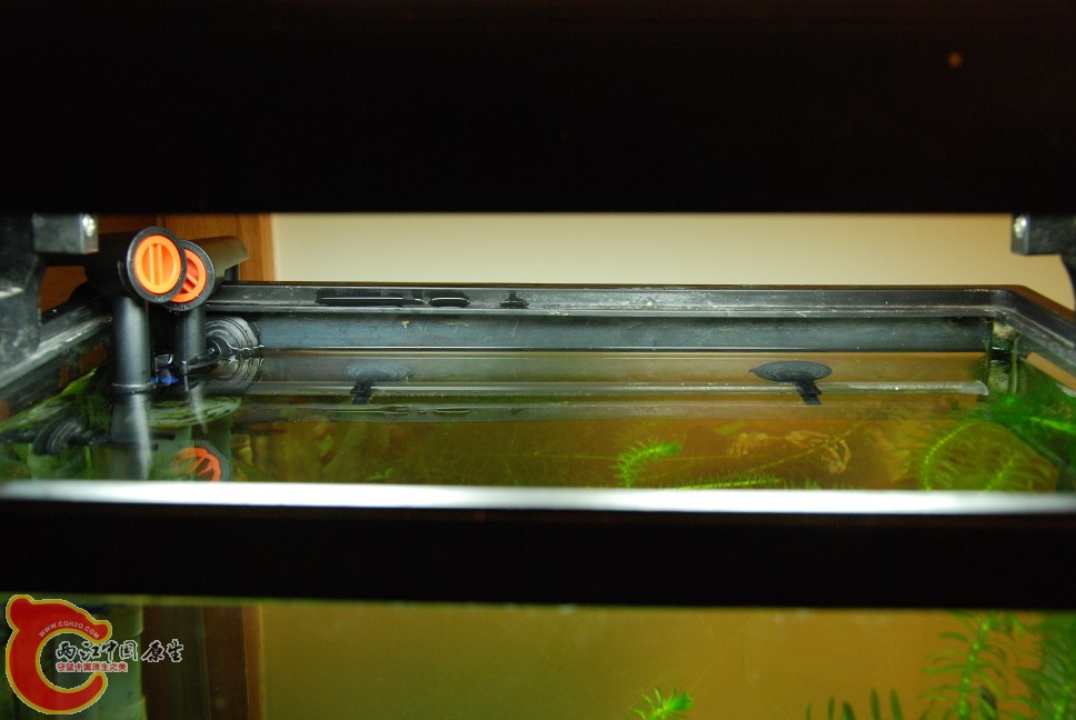 水族缸14