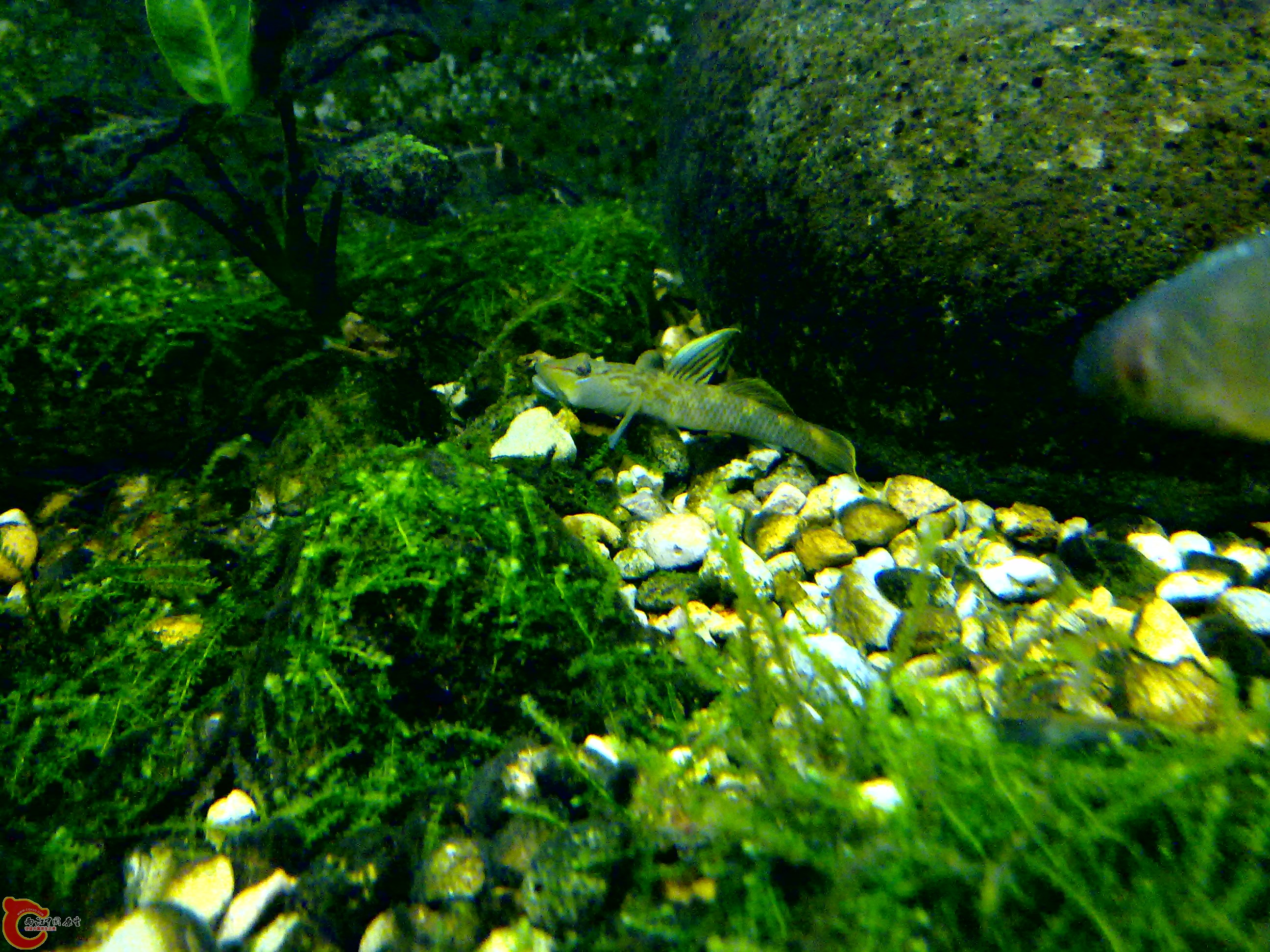 201110132035.jpg