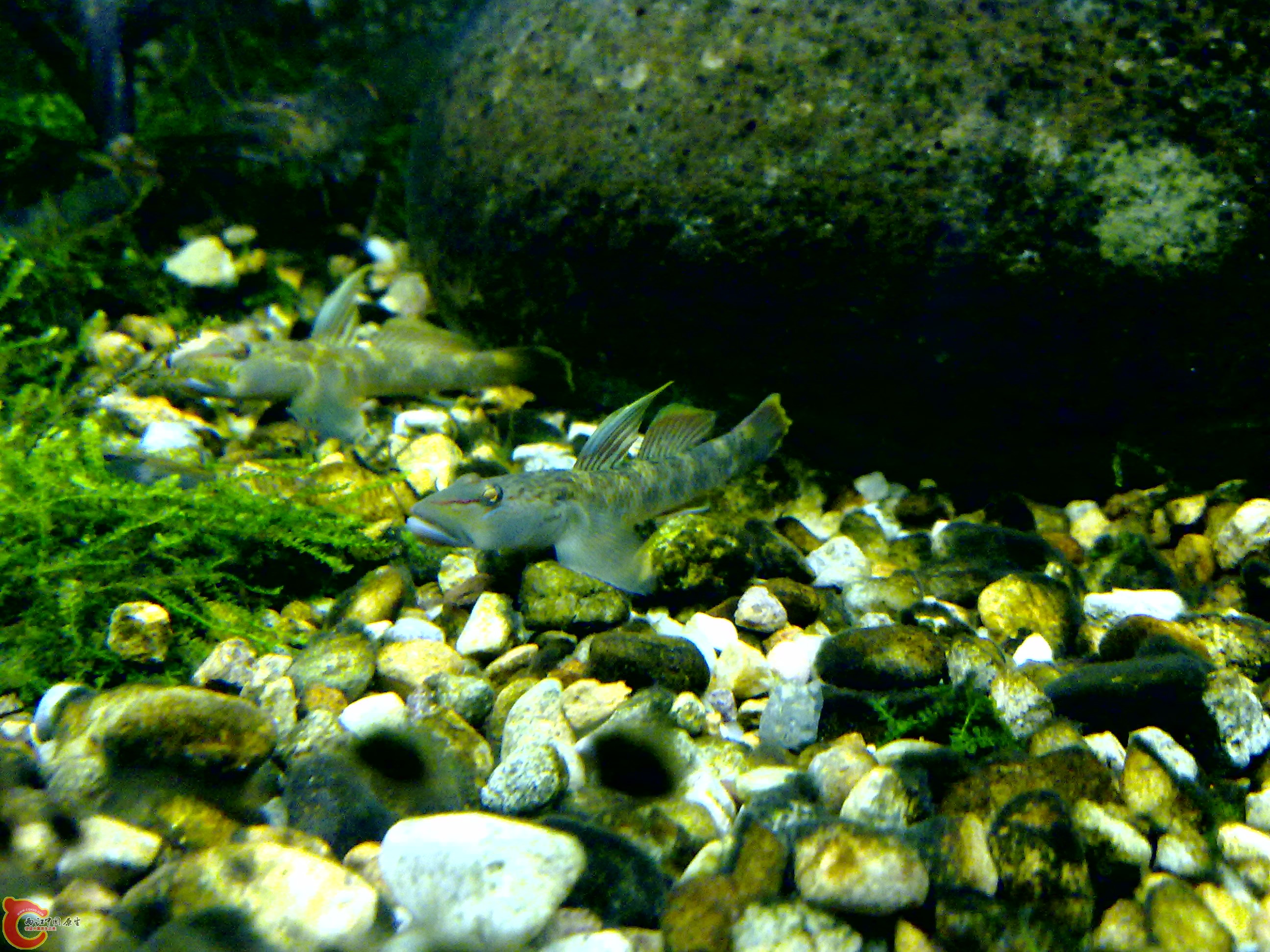 201110132007.jpg