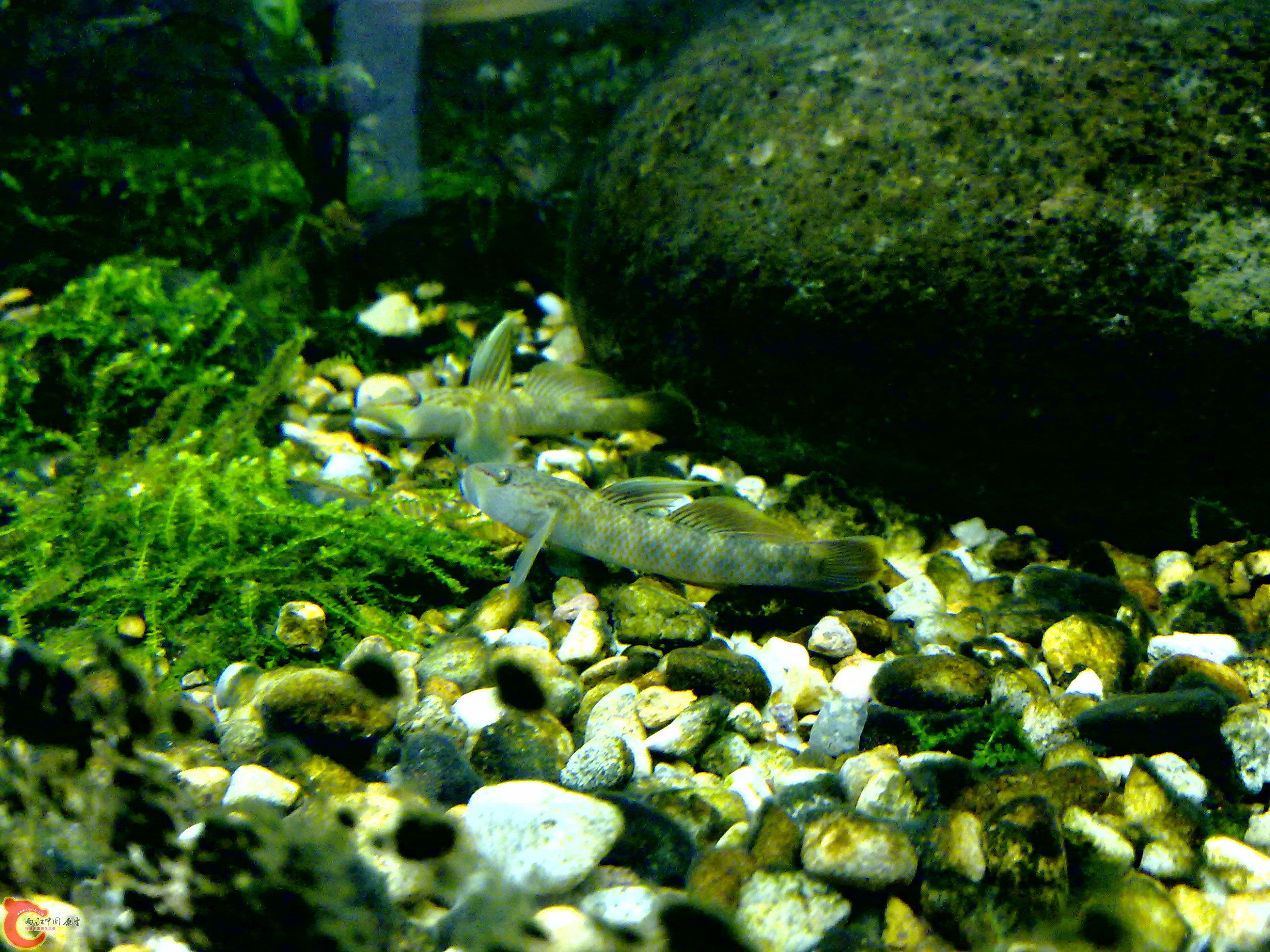 201110132008.jpg