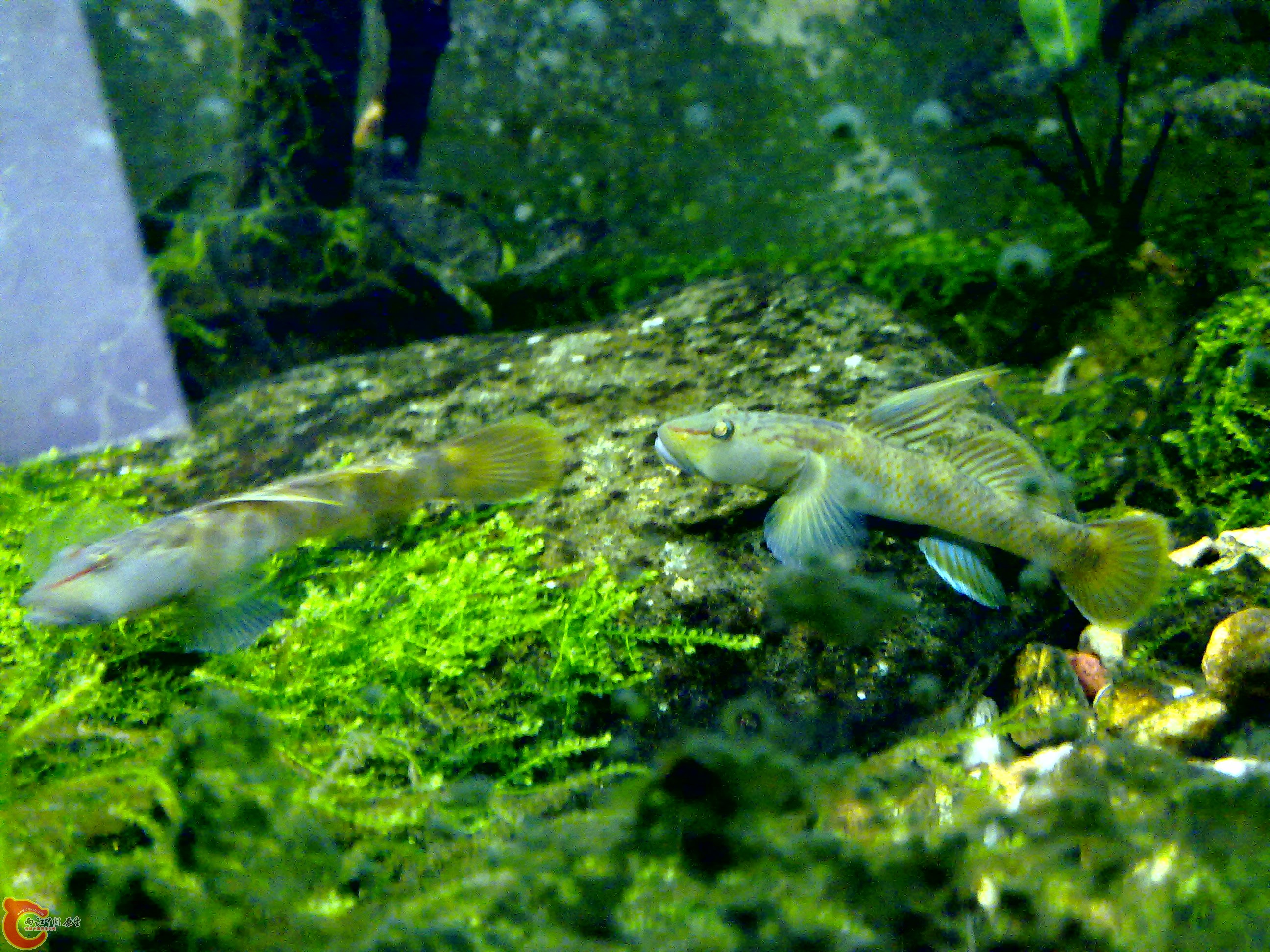 201110142044.jpg