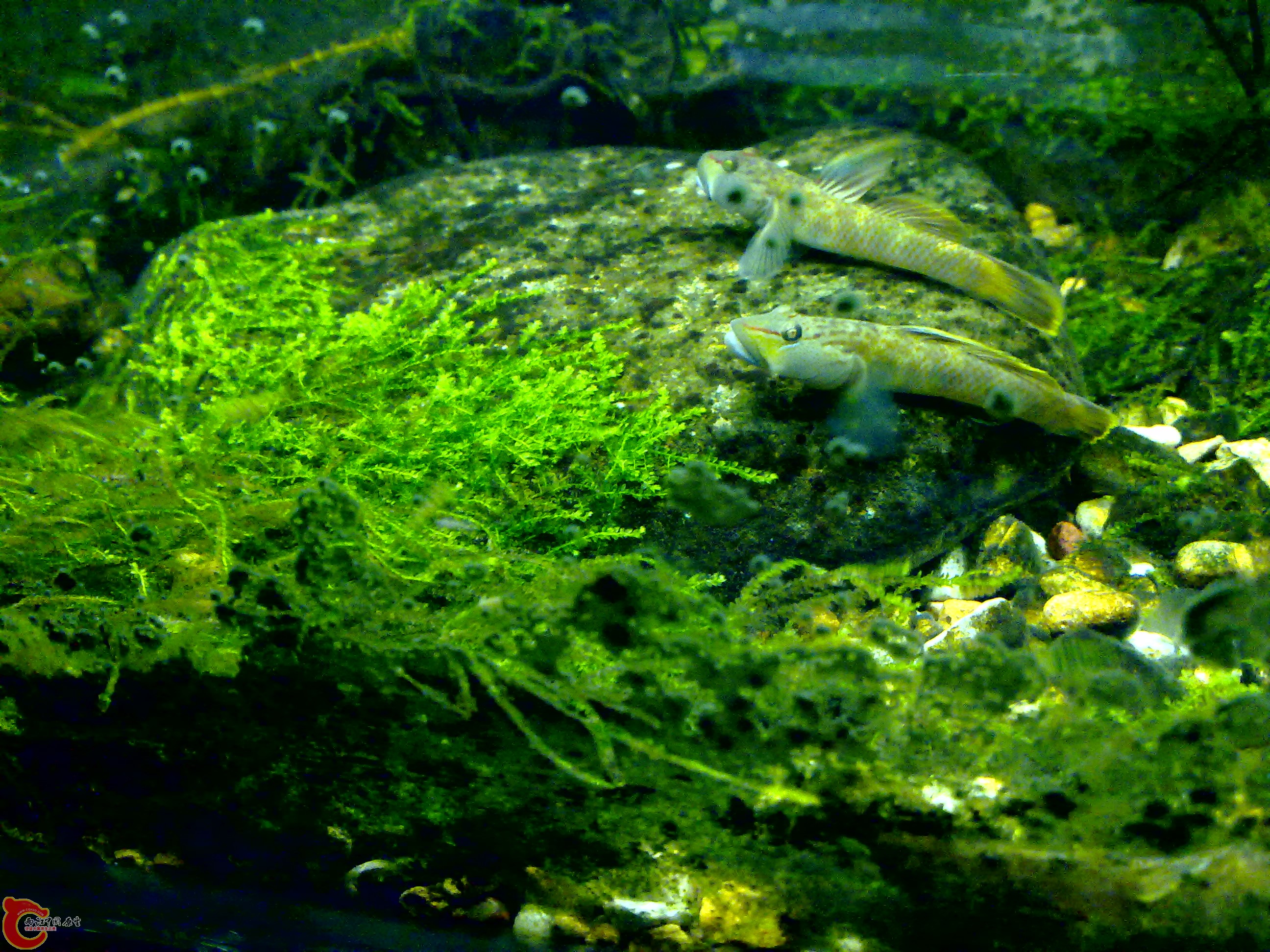 201110142089.jpg