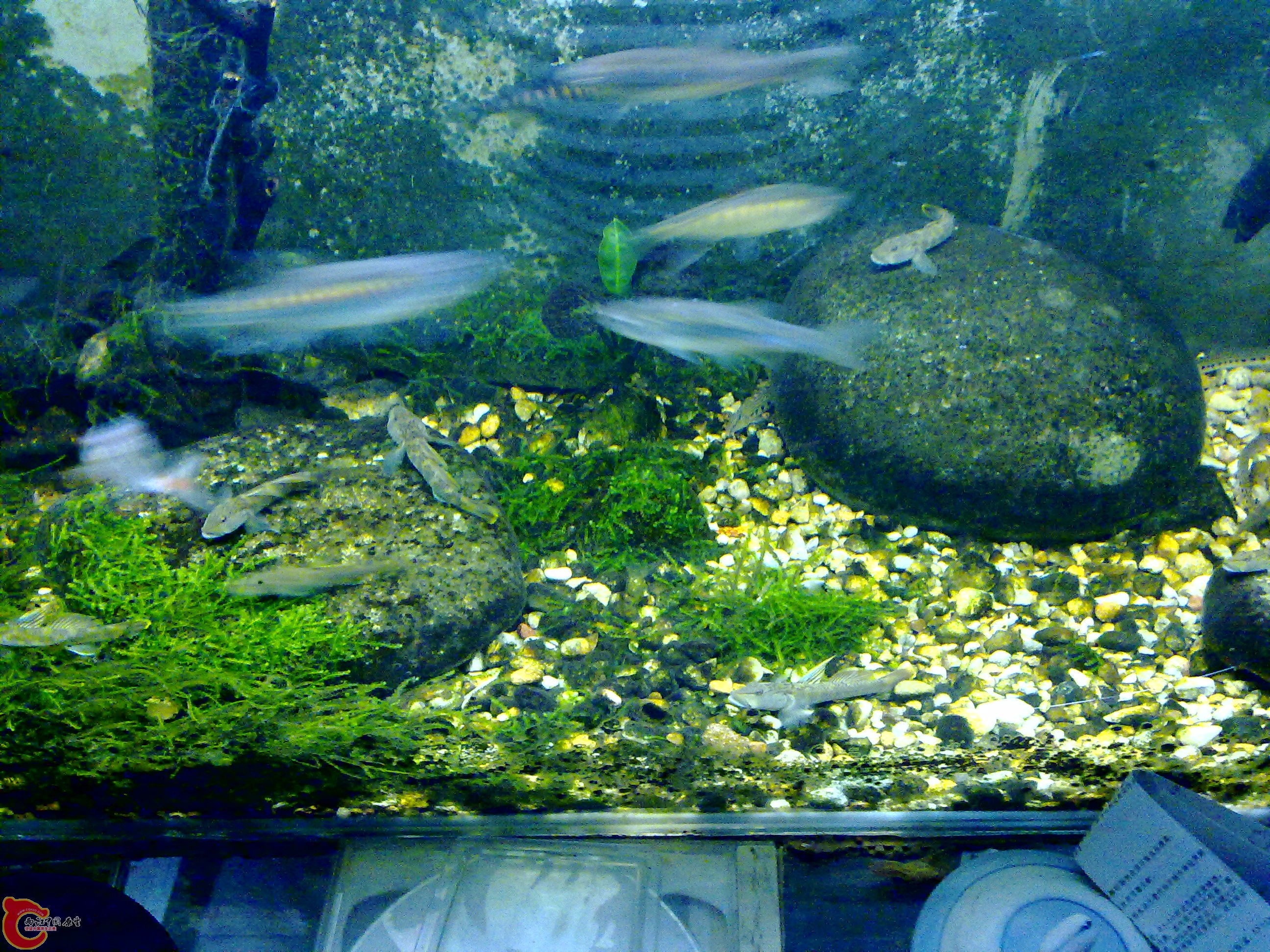 201110142072.jpg