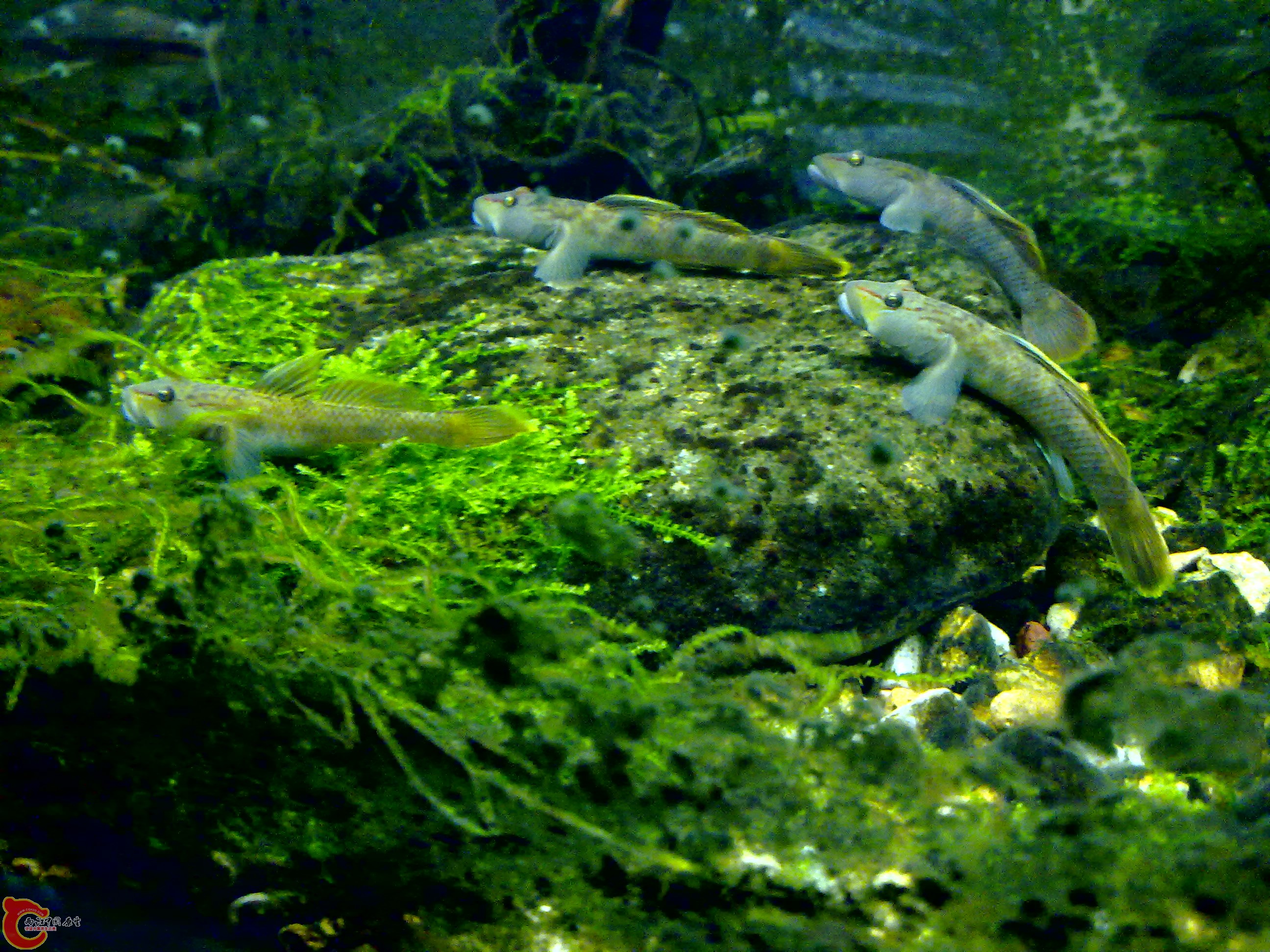 201110142077.jpg
