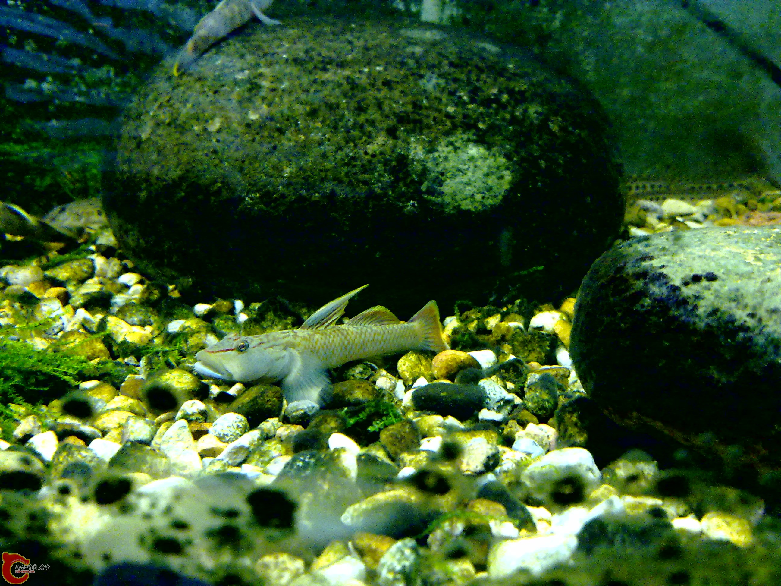 201110142080.jpg