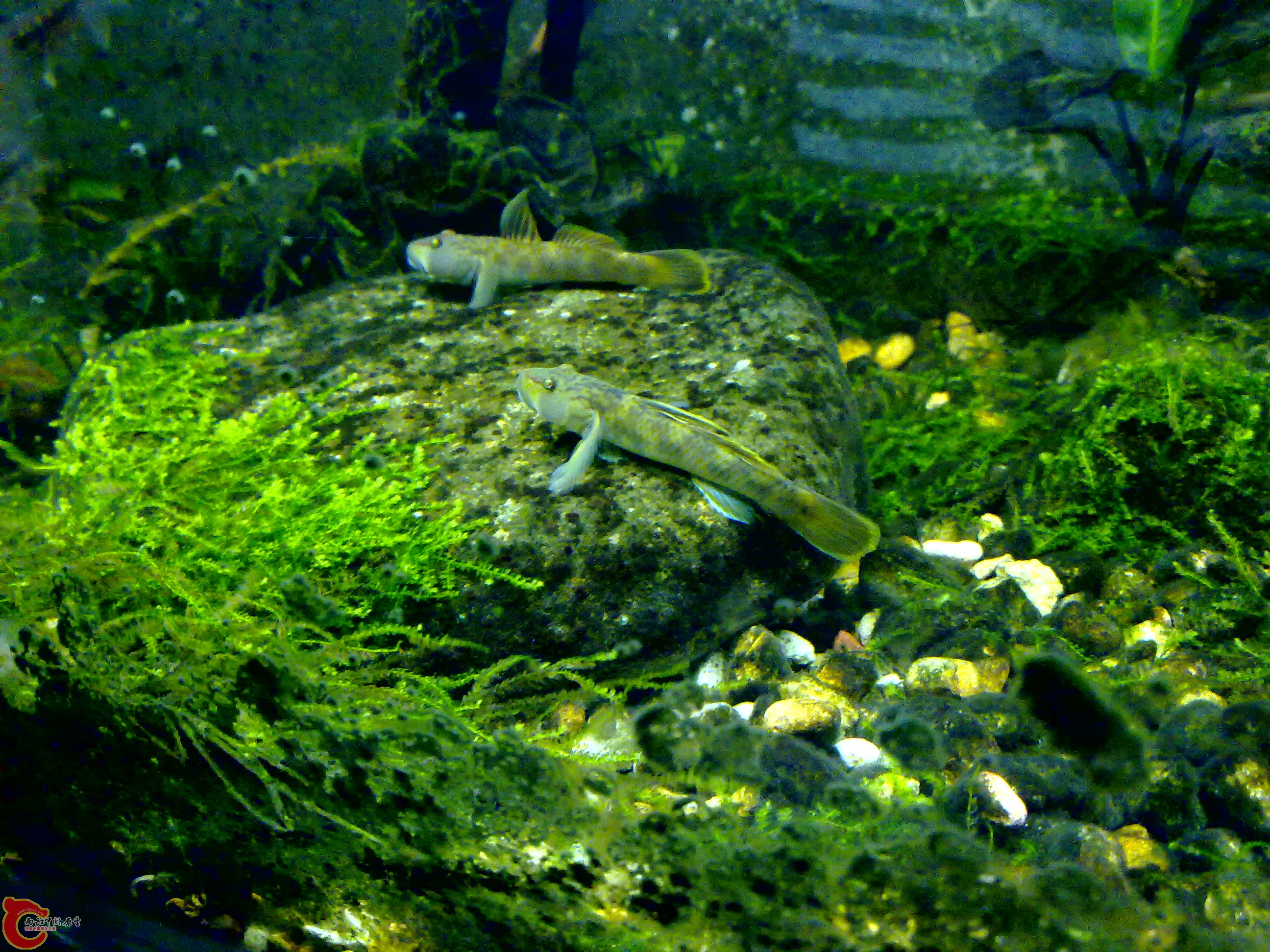 201110142088.jpg