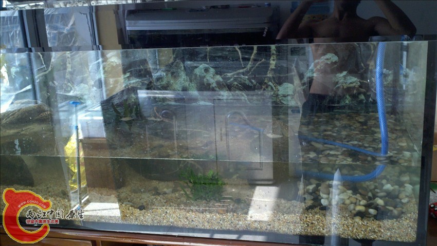 2011-10-18_12-48-43_674.jpg