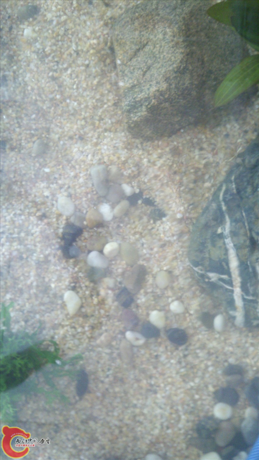 2011-10-18_12-49-03_878.jpg