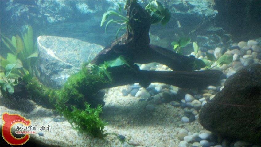 2011-10-18_20-33-22_21.jpg