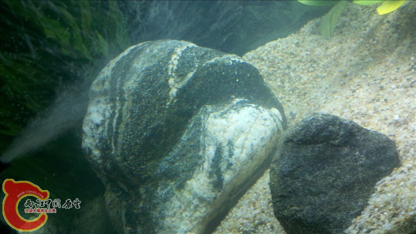 2011-10-18_20-33-33_530.jpg