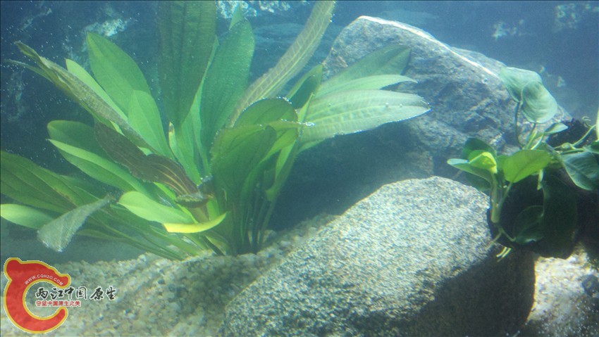 2011-10-18_20-33-44_391.jpg