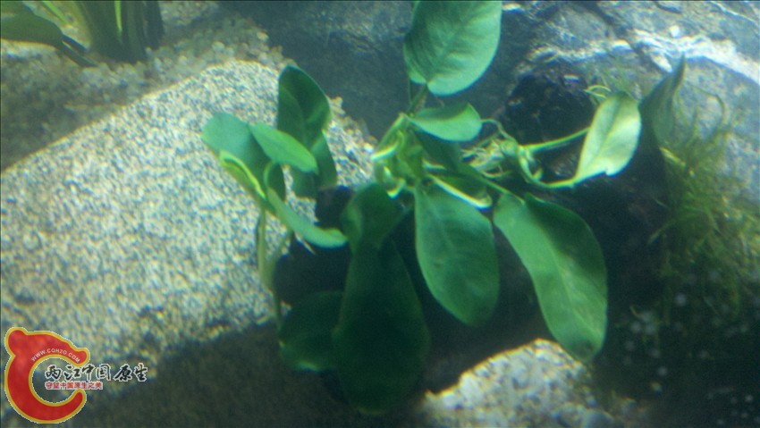 2011-10-18_20-34-20_755.jpg