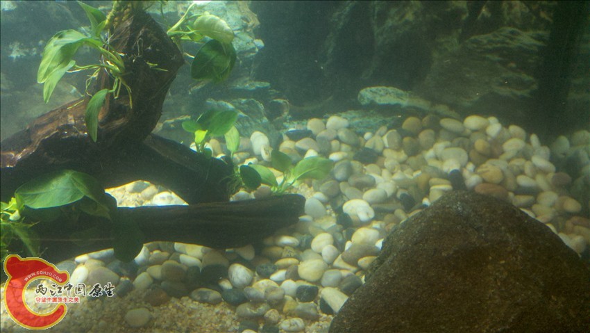 2011-10-18_20-33-58_274.jpg