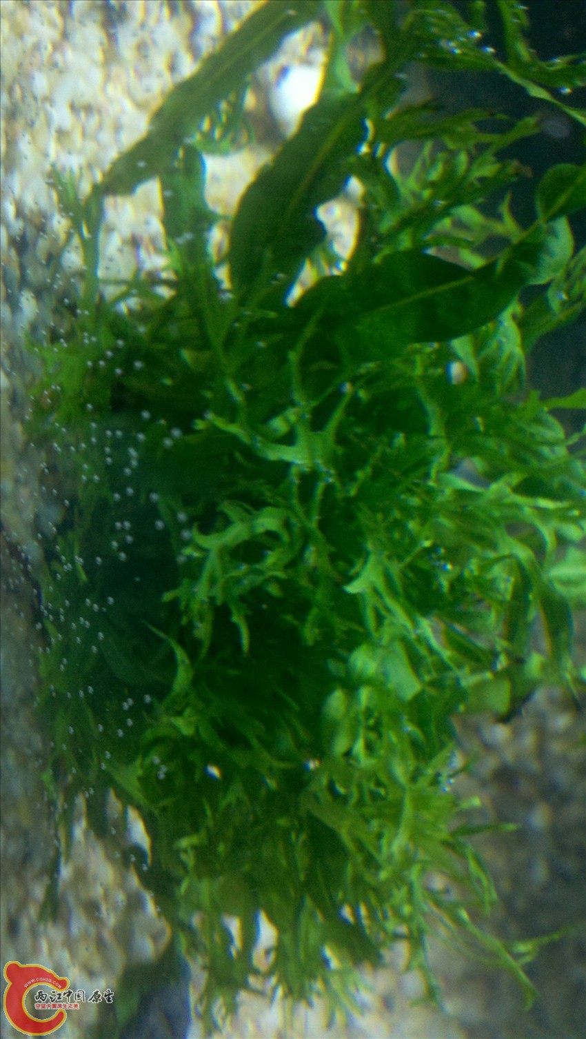 2011-10-18_20-34-30_349.jpg